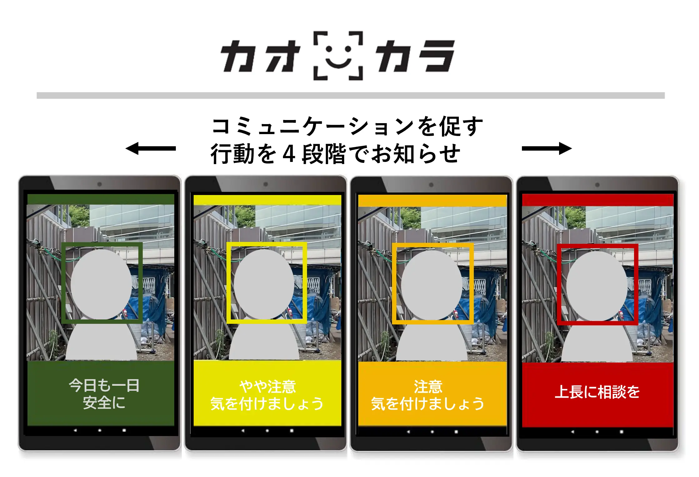 カオカラの画像