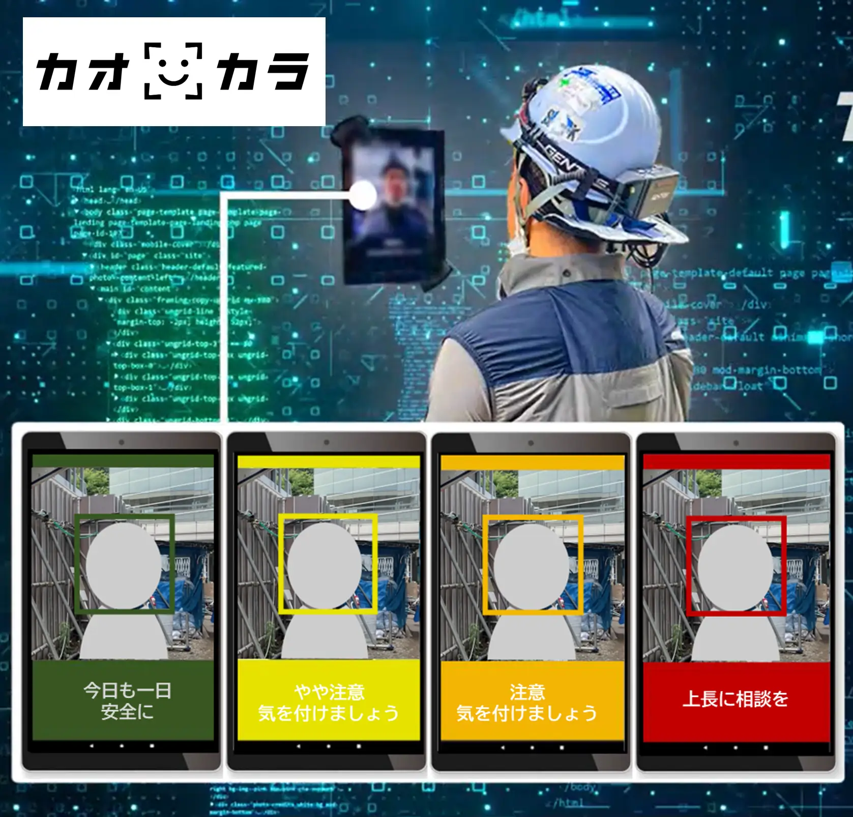 カオカラの画像