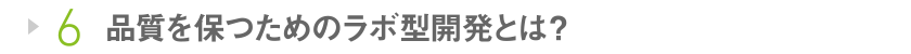 6 品質を保つためのラボ型開発とは？