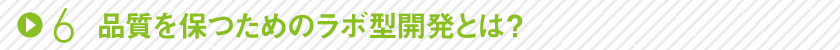 6 品質を保つためのラボ型開発とは？