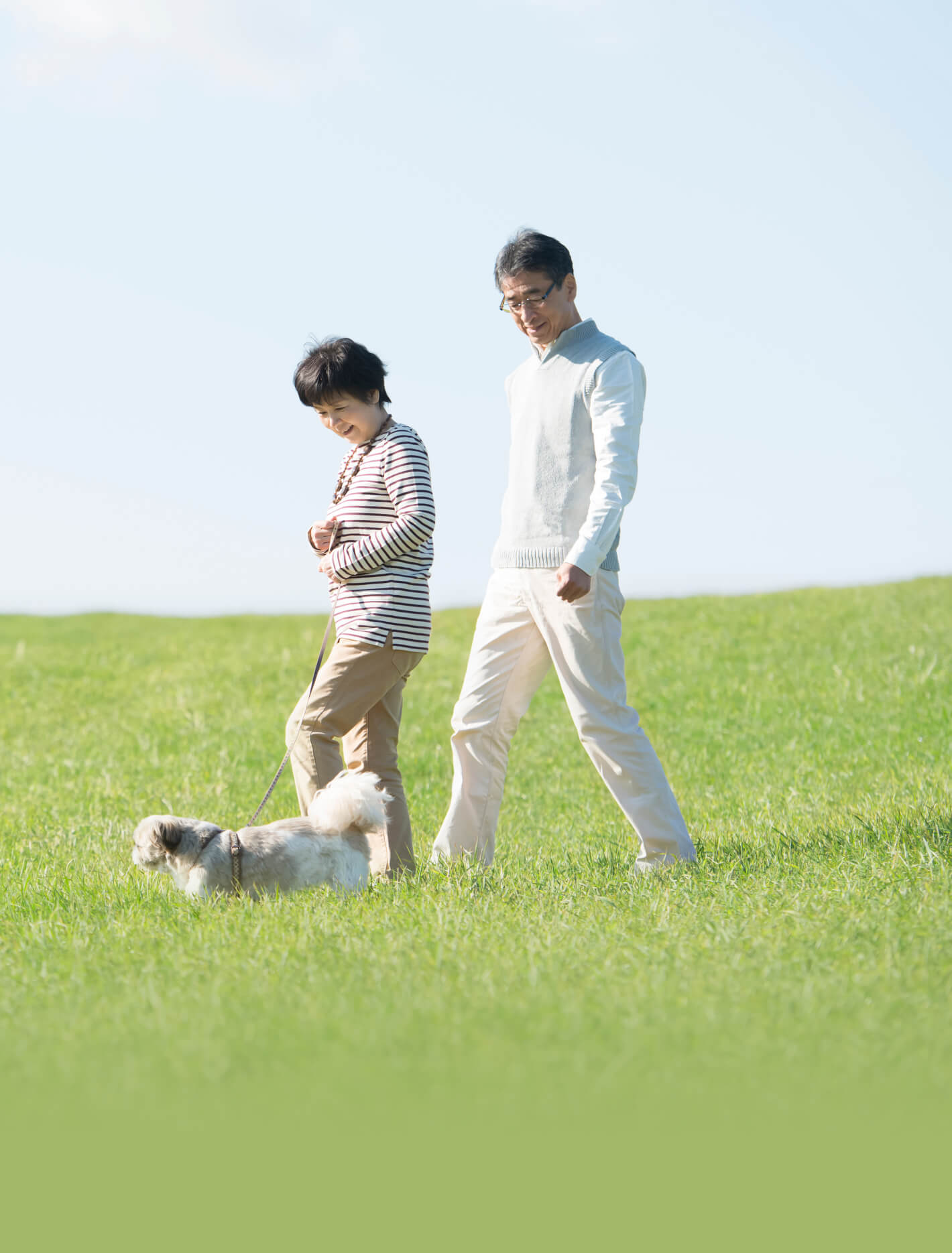 個別最適化な健康づくりをサポート